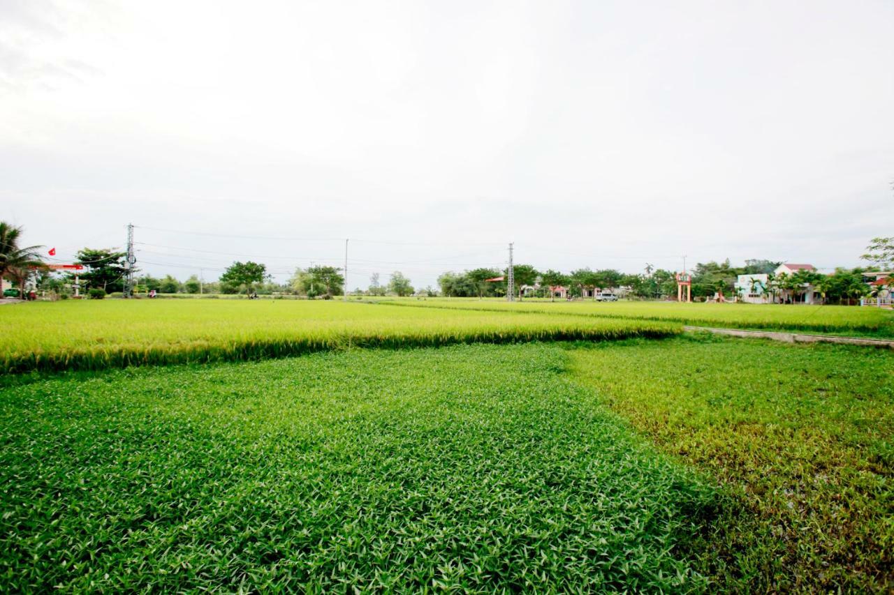 Rice Flower Homestay Hoi An Exterior foto